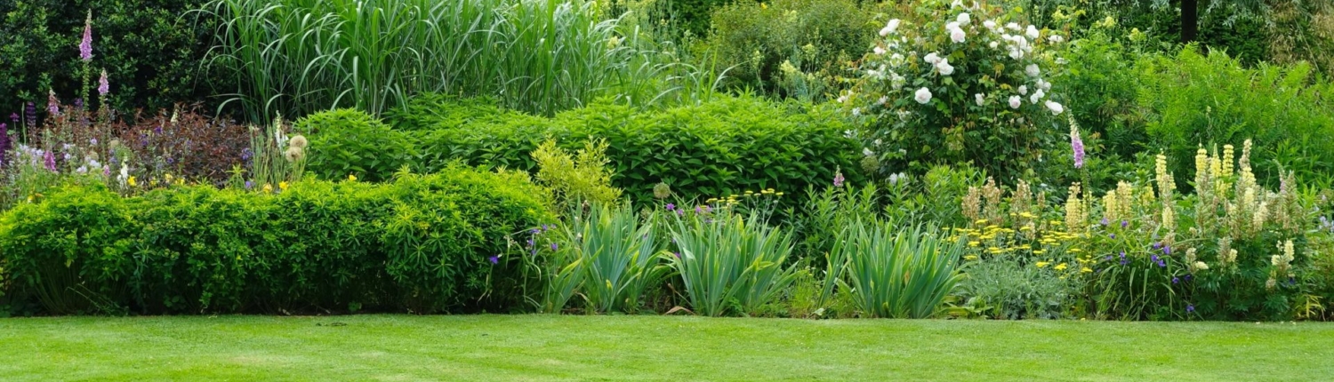 Scenic,Summertime,View,Of,A,Beautiful,English,Style,Landscape,Garden